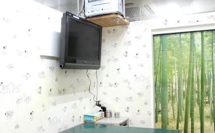 厚木ひまわり動物病院