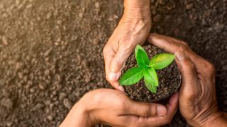 大協肥糧株式会社