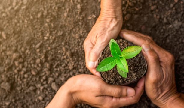 大協肥糧株式会社