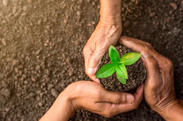 大協肥糧株式会社