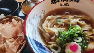 焼津ぶしうどん しょうた 藤枝店