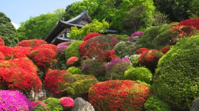 KAMAKURA BIKE TOURS