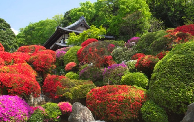 KAMAKURA BIKE TOURS