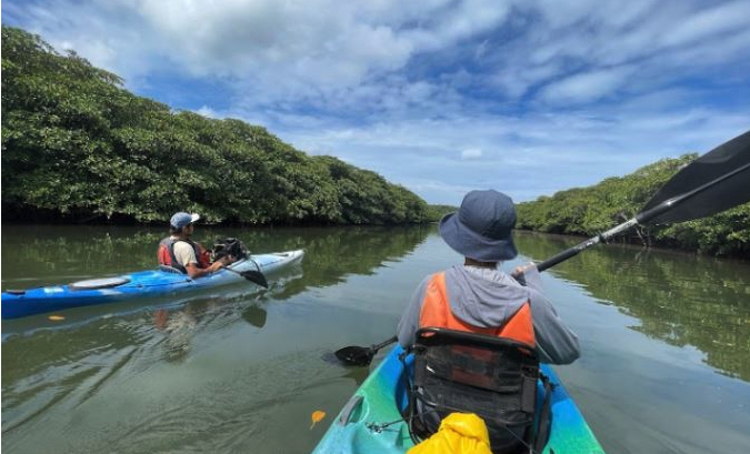 西表島コモレビトリップ
