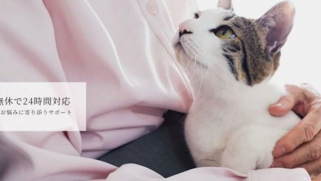 ペットメモリーポラリス